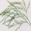 Verdor para Bodas Hierba Barba de Dragón Verdadero Hierba Espárrago Bosque Blanco Verde Estilo Decoración Fondo Colgante Arreglo Floral Decoración de Carretera Flores Artificiales