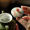 Bule de Chá Cerâmico para Casa com Ilha de Flores Pintadas à Mão, Mandarim Verde Pequeno das Dinastias Tang e Song, Conjunto de Chá Kung Fu com Filtro de Furo Esférico, Bule Portátil Estilo Antigo