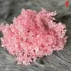 Hortênsia flores eternas atacado Flores eternas de Yunnan flores secas folhas pequenas Fabricantes de hortênsia Anna atacado buquê caixa de presente acessórios