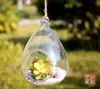 Florero de Vid Colgante, Maceta para Suculentas, Botella para Micro-Paisajismo, Botella Redonda Transparente Colgante, Artículos para Bodas