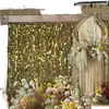 Cortinas de Fio Penduradas com Moldura de Fundo Dourada e Prateada, Adereços de Casamento, Cortinas de Porta Peroladas, Decorações de Teto para Casamento, Cortinas Coloridas de Fio com Lantejoulas e Contas