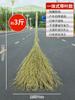 Venda por Atacado Vassoura Grande para Varrer Neve Galhos Rígidos e Remoção de Folhas Vassoura de Bambu Varrer Quintal Obra Fazenda Fábrica Oficina Varrer Água
