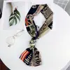 Bufanda larga nueva bufanda pequeña para mujer de Corea del Sur primavera y otoño bufanda fina estrecha de doble cara corbata de moda decorativa