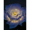Flor elétrica de simulação com luz abertura e fechamento flor indução abertura e fechamento flor móvel vitrine de loja luz fixa gipsofila personalizada