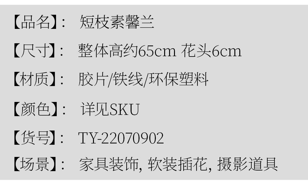详情_02.jpg