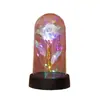 Flor Eterna Cubierta de Vidrio Rosa con Lámina de Oro Luz Nocturna Luminosa Tanabata Día de San Valentín Adornos de Regalo Creativos Suministro Transfronterizo