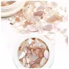 Estilo Japonés Colorido Perla Asimétrica Piedra de Concha Fragmentos de Abulón Decoraciones para Uñas Accesorios de Arte de Uñas Piezas de Concha