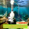 Incubadora de Ovos de Peixe para Eclosão Bucal 30*5cm para Ovos de Peixes Ciclídeos, Diâmetro 50mm, para Espécies Exóticas de Fundo