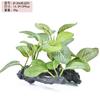 Plantas Acuáticas Simuladas para Paisajismo de Tanque de Tortugas, Troncos Flotantes de Plástico para Acuario, Decoración de Hierba, Adornos de Paisajismo, Flores y Plantas
