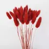 Comércio eletrônico transfronteiriço comércio exterior Amazon cor flor seca rabo de coelho grama atacado diy pequeno buquê vaso buquê