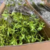 Ramas de sauce nevado, enredaderas, musgo para paisajismo, ramas de sauce nevado para colgar en la pared, brotes de sauce, líneas de enredaderas, decoración de bodas, ramas de sauce nevado de bajo mantenimiento