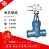 Fábrica de válvulas Co., Ltd de Shanghai Lianggong. Tienda insignia oficial válvula de compuerta de alta temperatura y alta presión para central eléctrica compuerta de central eléctrica de alta temperatura