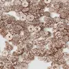 [Polvo de Brillo Lentejuelas de 3 mm 4 mm] Bordado Francés DIY Bordado con Cuentas Bordado Estéreo Accesorios para Ropa Cosidos a Mano Accesorios