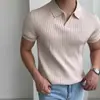 Camiseta Polo de Punto de Manga Corta Lisa de Canalé Estilo Coreano de Verano para Hombre, Estilo Ligeramente Maduro, Cuello Camisero, Suéter de Pico Pequeño Versátil