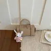 Bolso de Moda Femenino Exquisito y Moderno para Primavera y Verano 2026 Transfronterizo con un Toque de Alta Gama, Bolso tipo Almohada de Hombro Único