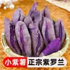 Camote morado dulce de Yunnan, verduras frescas, camote dulce miel Yanshu, camote de campo arenoso, camote de castaña, camote cultivado en granja