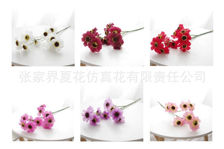 详情页_05.jpg
