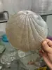Lámpara Colgante de Hoja de Vidrio para Sala de Estar Accesorios de Lámpara de Cristal Piezas para Bricolaje Iluminación del Hogar Pantalla de Lámpara Vidrio Piezas Sueltas Accesorios Juego Completo
