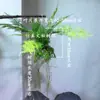 Árbol viejo vid musgo vid muerta estilo bosque paisajismo decoración colocación vid falsa musgo vid exhibición colgante ramas arte floral