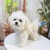 Ropa Fina Anticaída para Perros y Gatos de Primavera y Verano, Transpirable con Correa, Arnés con Estampado Floral para Bichón, Pomerania, Corgi, Teddy