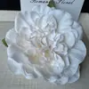 Didy No Tiene Miedo del Mismo Pasador Verde de Phalaenopsis Flor Lateral Flor Artificial Tocado Accesorios para el Cabello de Viaje a la Costa