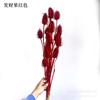 [Flor roja de Año Nuevo] Arreglo floral para el festival de Año Nuevo, decoración de bodas, flor eterna, decoración de flores secas de Año Nuevo