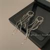 Pendientes largos de estilo coreano, elegantes, delicados, con flecos, pendientes de estilo nuevo, pendientes de cadena, alta calidad, estilo frío, únicos