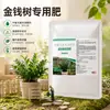 Fertilizante Especial para Árbol del Dinero Solución Nutritiva Planta Verde de Interior Planta en Maceta Fertilizante Promueve el Enraizamiento Previene Hojas Amarillas Tipo Universal para Todas las Estaciones