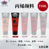 Set de Pintura Acrílica Personalizado de 75 ml, Impermeable y que no se decolora, Adecuado para Pintura DIY en Estudio, Se puede imprimir con logotipo