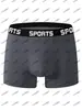 Fabricante de Dropshipping de Comercio Exterior - Talla Europea Nueva Ropa Interior Deportiva para Hombre de Cintura Media Calzoncillos Deportivos Dropshipping Transfronterizo