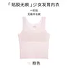 Ropa interior para estudiantes de secundaria para la etapa de desarrollo, Primera etapa para estudiantes de primaria, Edades 6-12, Camiseta sin costuras antibacteriana anti-golpes para niñas