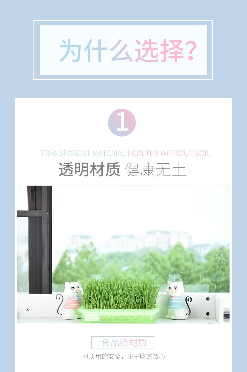 详情-12.jpg