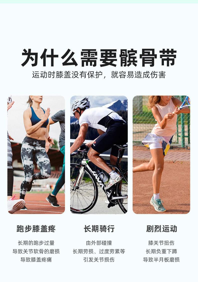 髌骨带_02