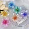 Explosiones de Espejo Cruzado Europeas y Americanas Pinza de Flor de Huevo de Color Tridimensional Anti-Falso Pinza Grande para la Parte Posterior de la Cabeza Accesorios para el Cabello para Mujer Tocado