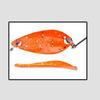 Colher Tipo Boca de Cavalo Lantejoulas Tira Branca Micro Isca Córrego Lou Sub Bait Isca Falsa Isca de Pesca Metal Lou Conjunto de Lantejoulas Artes de Pesca