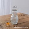 Mais Vendido Transfronteiriço Amazon Vaso Pequeno Enfeites de Decoração de Mesa Conjunto de Mini Garrafas de Vidro Transparentes de Alta Qualidade Atacado