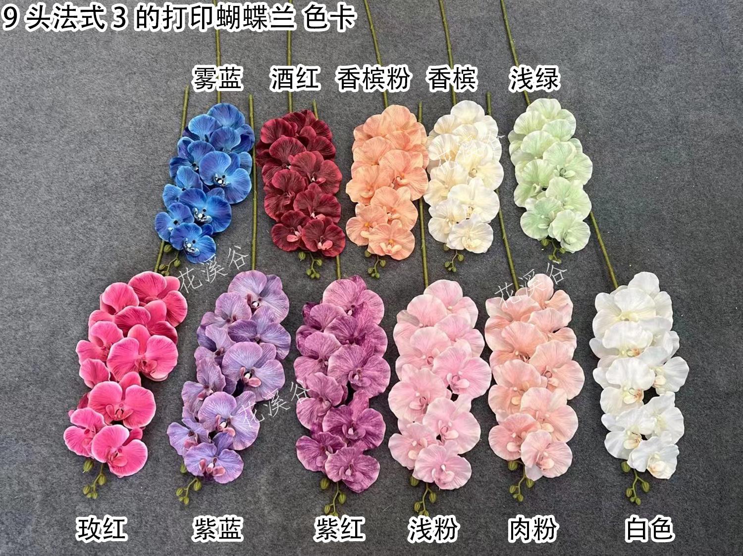 9头法式3的打印蝴蝶兰 色卡 花溪谷.jpg