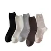 Calcetines grises de encaje hasta la mitad de la pantorrilla, nuevo estilo otoño e invierno, versión coreana de celebridad de internet de Dongdaemun, calcetines de algodón acanalados retorcidos de color liso holgados para mujer