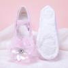 Nuevos Zapatos de Baile Azules con Flores Grandes para Niños Zapatos Suaves para Práctica Zapatos de Baile para Niños Zapatos de Ballet para el Cuerpo 8012