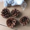 1-18CM Piña Decoraciones Creativas de Navidad Colgante Accesorios para Disparos Flor Seca Pinus tabulaeformis en stock Mayoreo