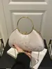 Bolso de mano de diseño de nicho estilo francés para mujer, bolso de noche europeo y americano, bolso bandolera de cadena de moda, bolso de mano, bolso tote para salir