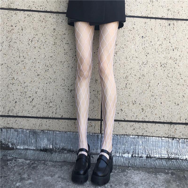 白大网.jpg