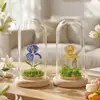 Presente de Dia das Mães: Flor íris de vidro Zibo em uma redoma de vidro, flor eterna, artesanato de flor de vidro feito à mão, atacado