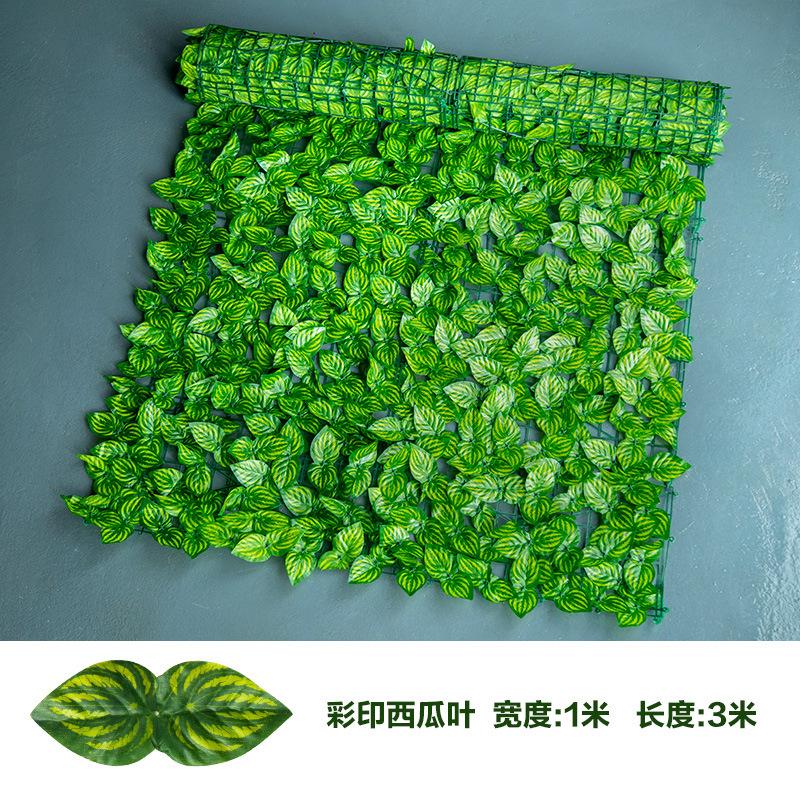 17550788043_77184706