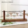 Jarrón de cristal creativo para arreglos florales de sala de estar, recipiente hidropónico transparente simple para plantas pequeñas, maceta de boca estrecha
