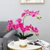 Flor Simulada Phalaenopsis en Maceta Lujo Ligero Interior Sala de Estar Mesa de Comedor Adornos Florales Planta Verde Artificial Bonsái Flor Simulada
