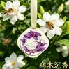 Aromaterapia para Guarda-Roupa Fragrância Duradoura Aroma para Quarto de Meninas Sensação de Luxo Peça Pendurada Perfumada Repelente de Insetos Remoção de Ácaros Peça Perfumada para Guarda-Roupa