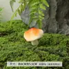 Ornamentos de Cogumelos para Gramado de Villa Decorações de Bonsai de Flores Suculentas Micro Paisagem Enfeites Criativos para Paisagismo de Pátio e Jardim de Infância