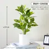Decoração de planta em vaso de planta verde para simulação transfronteiriça sala de estar bar flor artificial flor de simulação decoração de flor de alto nível