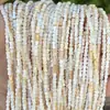 Jingdian Jewelry Conchas Naturales Forma Irregular Cuentas Sueltas Forma de Corazón Trébol de Cuatro Hojas Redondo Enlace de Bambú Accesorios de Pulsera de Concha